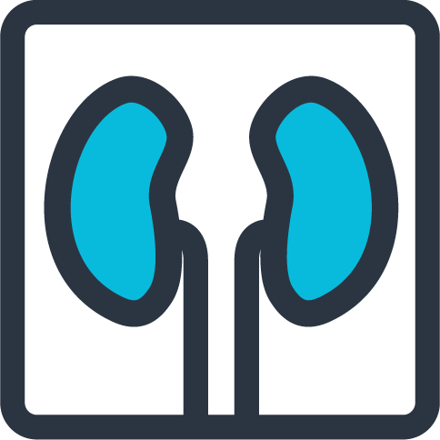 Nephrology icon